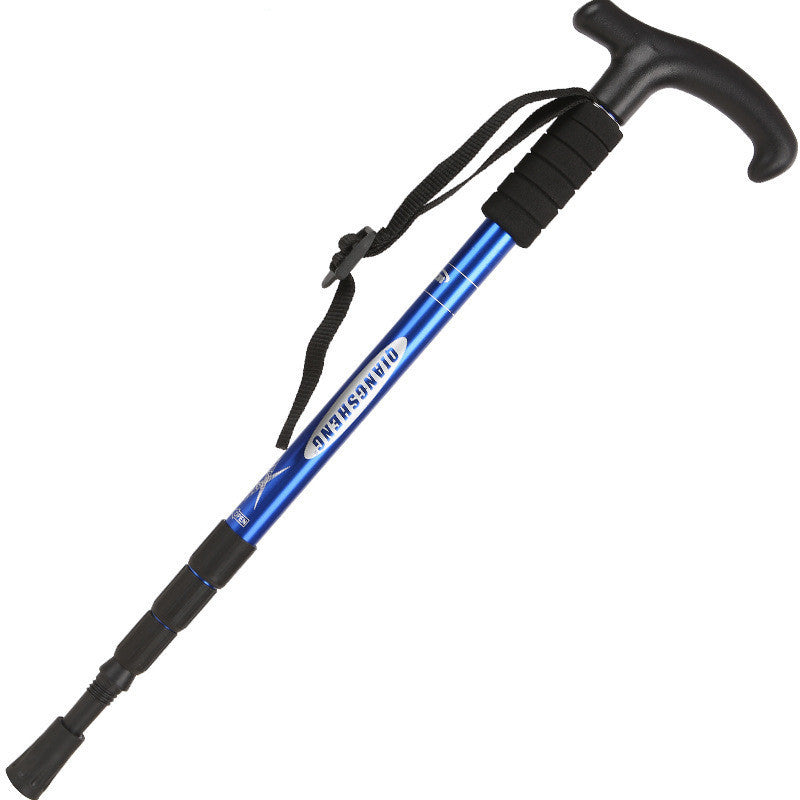Hiking Stick