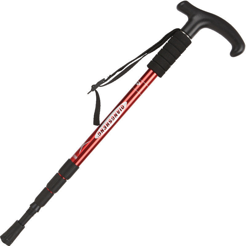 Hiking Stick