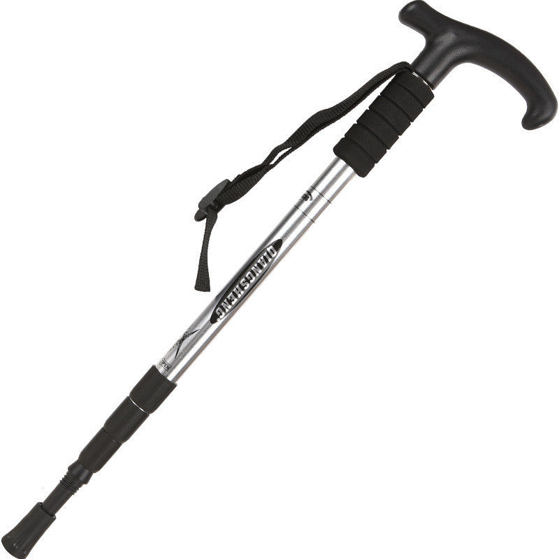 Hiking Stick