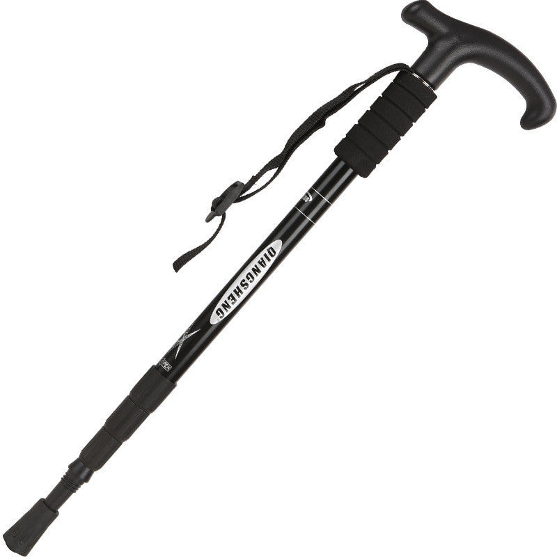 Hiking Stick