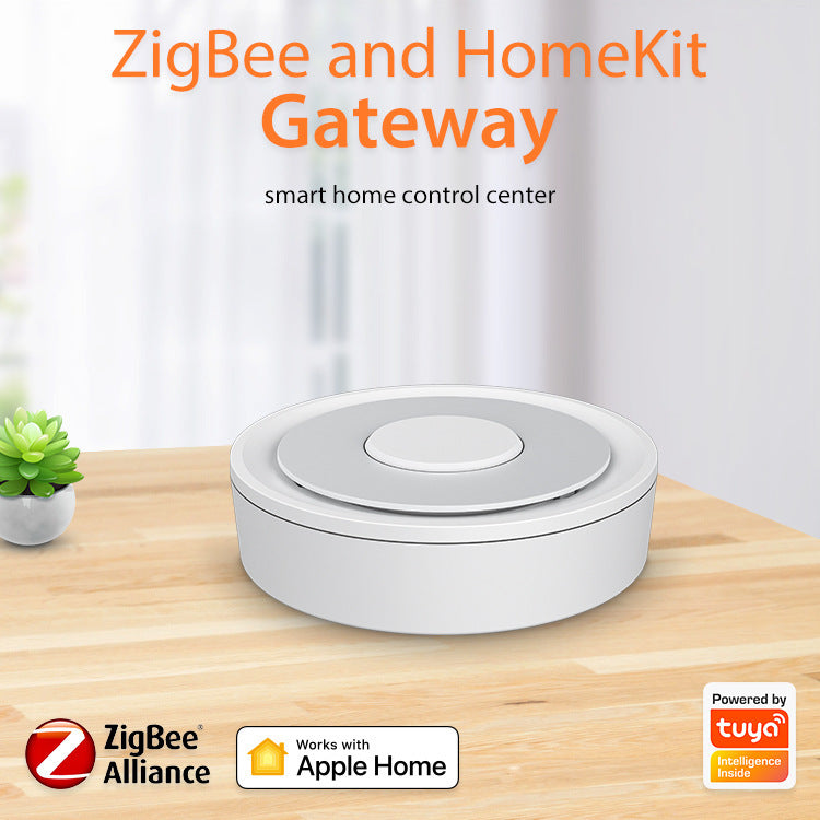 Intelligent Home Control System