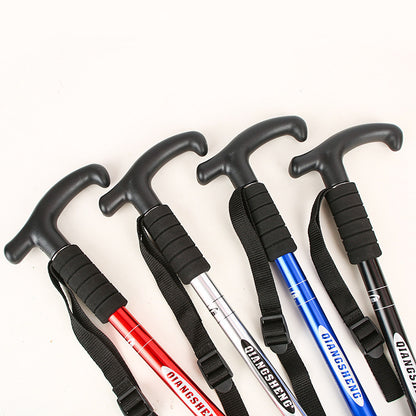 Hiking Stick