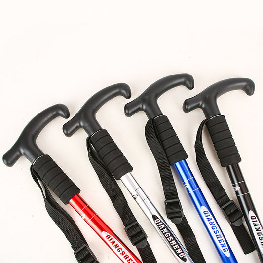 Hiking Stick
