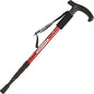 Hiking Stick