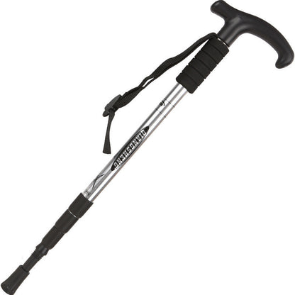 Hiking Stick