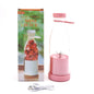 Electric USB Juicer