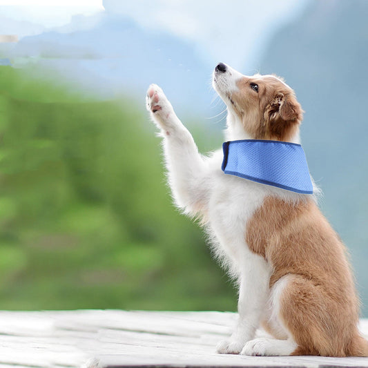 Fashion Personality New Pet Cooling Bib