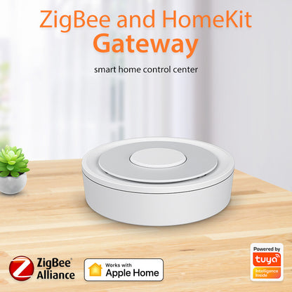 Intelligent Home Control System