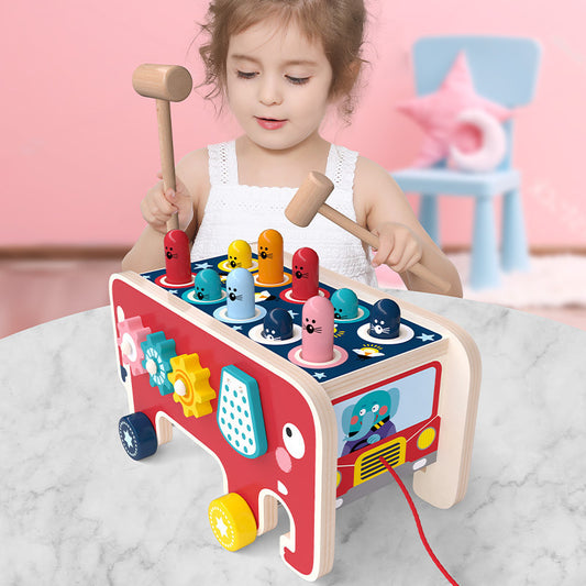 Montessori Toddlers Kids Toys