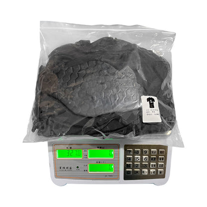 Motion Guard Elite